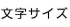 �����T�C�Y