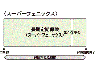 【スーパーフェニックス】仕組図、ご提案例・保険料例