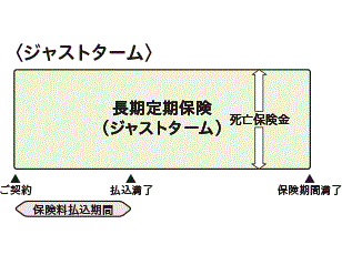 【ジャストターム】仕組図、ご提案例・保険料例