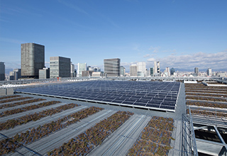 日本生命本店（東館）屋上