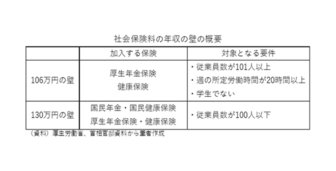 社会保険料の年収の壁の概要