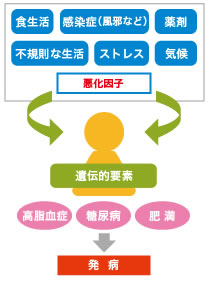 内臓 乾癬 原因 生活習慣病を合併して全身に影響する「乾癬（かんせん）」