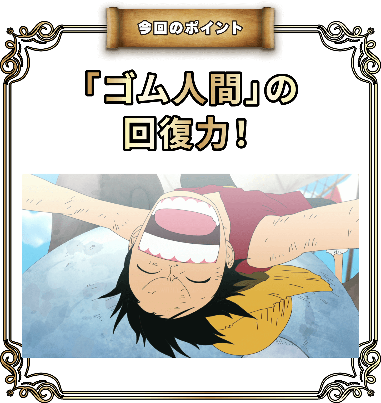 今回のポイント ゴム人間の回復力