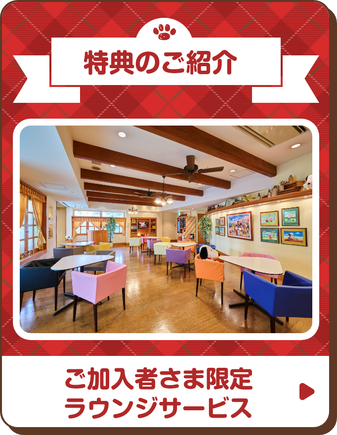 特典のご紹介 ご加入者さま限定 ラウンジサービス
