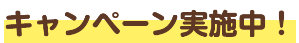 キャンペーン実施中！