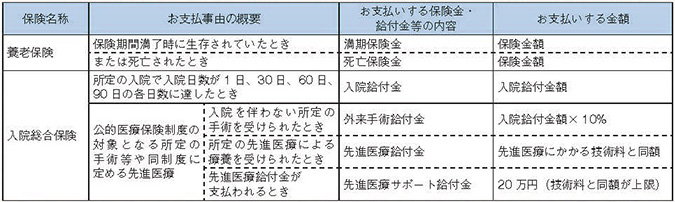 お支払事由の概要について