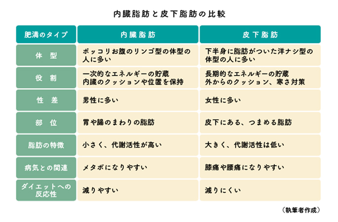 Vol 142 気になる内臓脂肪 日本生命保険相互会社