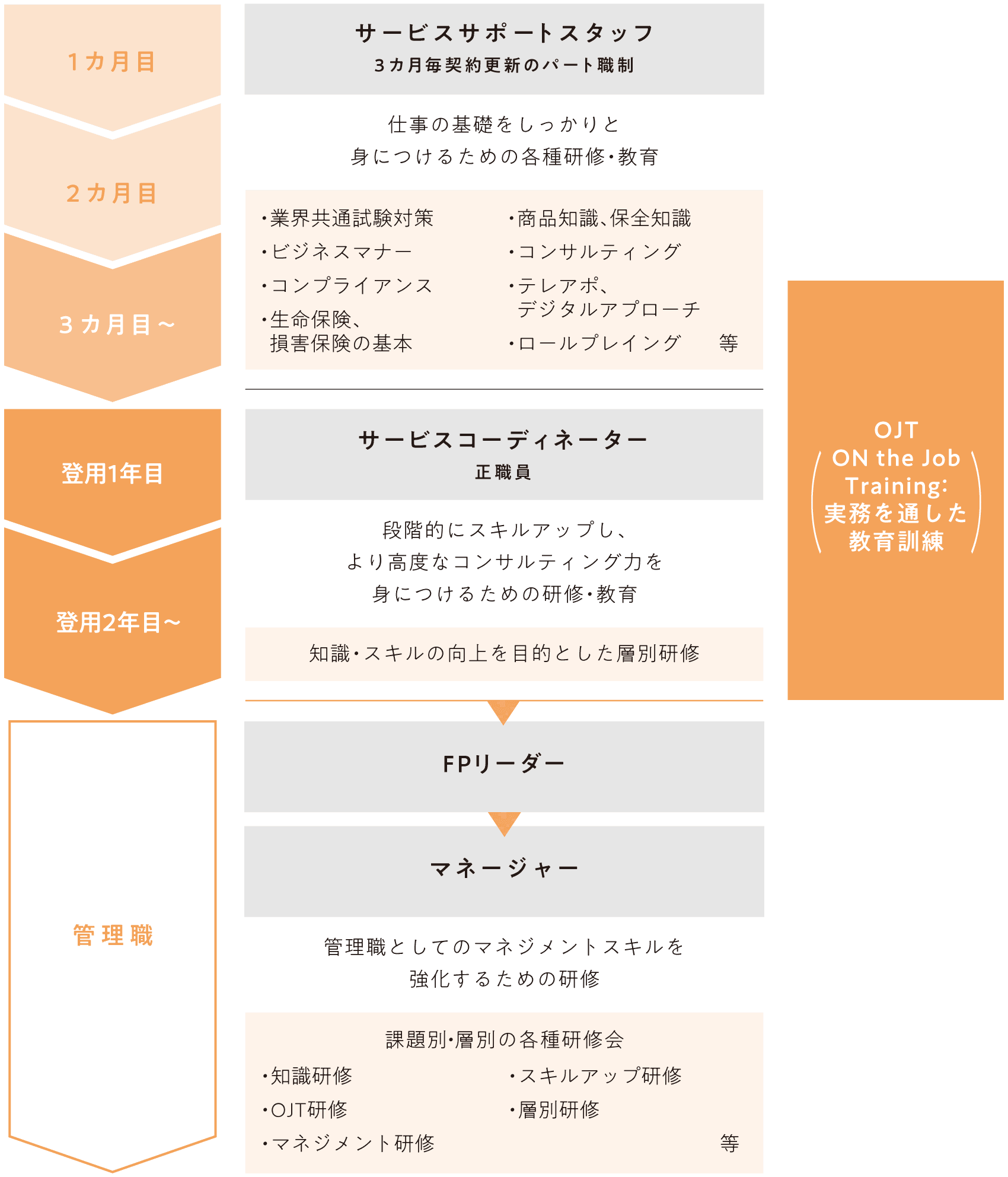 サービスサポートスタッフ・サービスコーディネーターの教育体系図