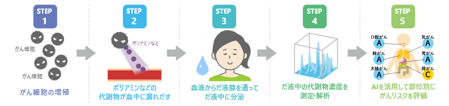 STEP1 がん細胞の増殖 STEP2 ポリアミンなどの代謝物が血中に漏れだす STEP3 血液からだ液腺を通ってだ液中に分泌 STEP4 だ液中の代謝物濃度を測定・解析 STEP5 AIを活用して部位別にがんリスクを評価