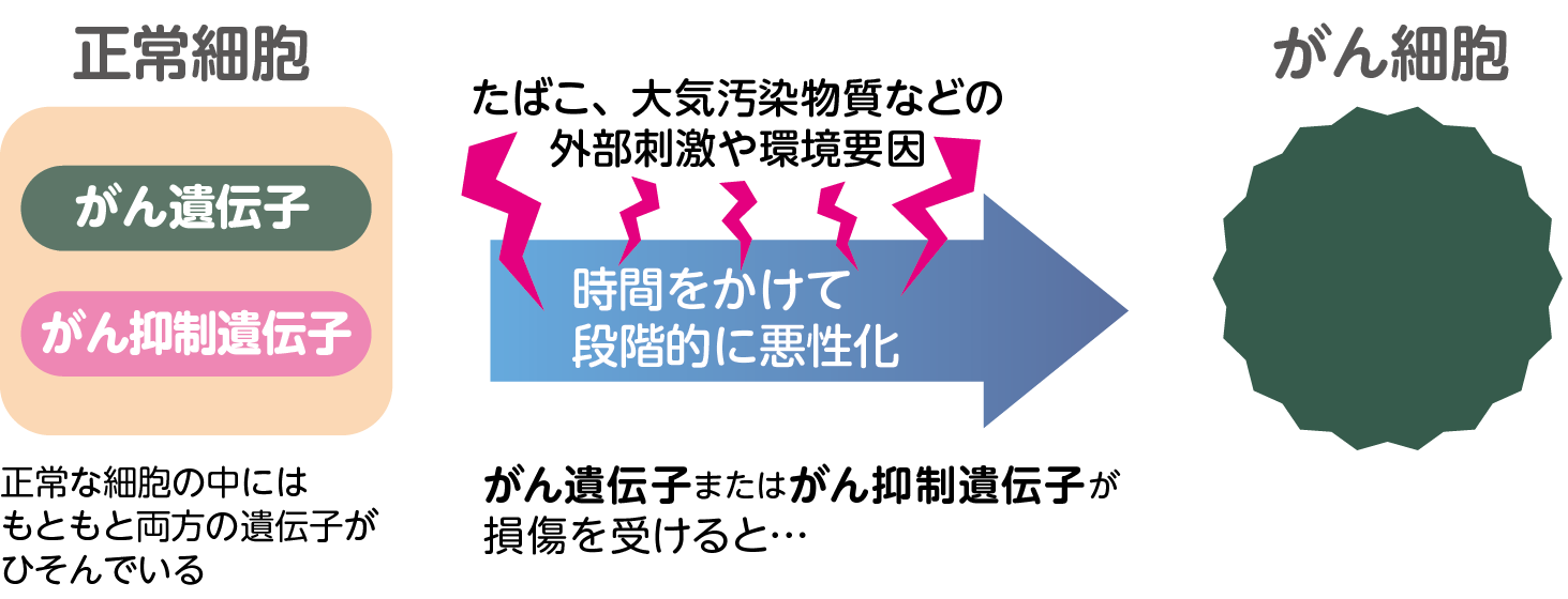 がんの始まりは、遺伝子の損傷