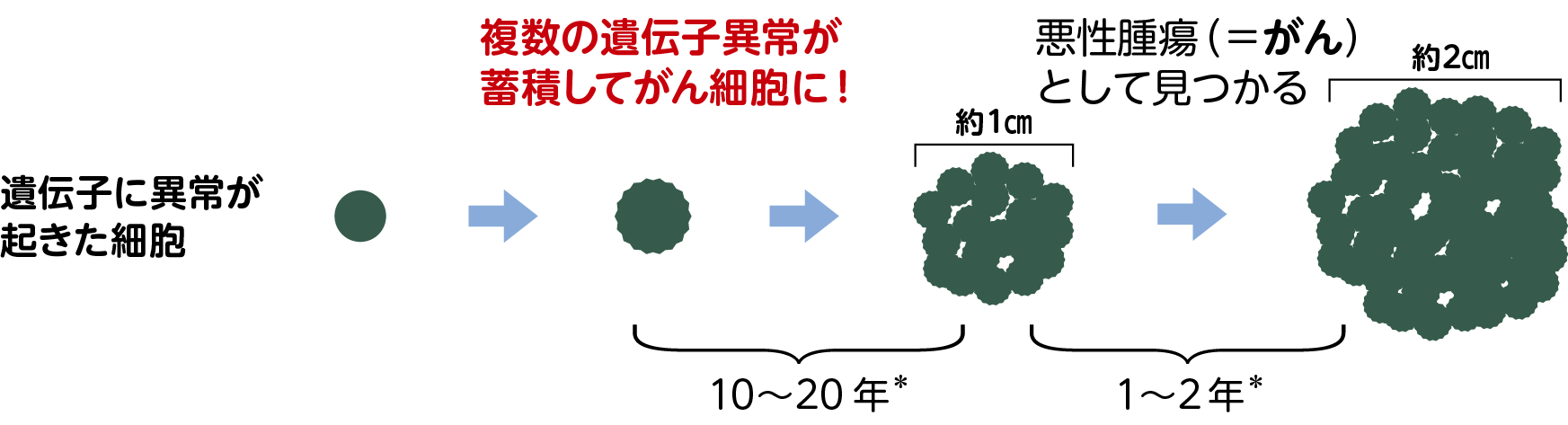 がんの始まりは、遺伝子の損傷
