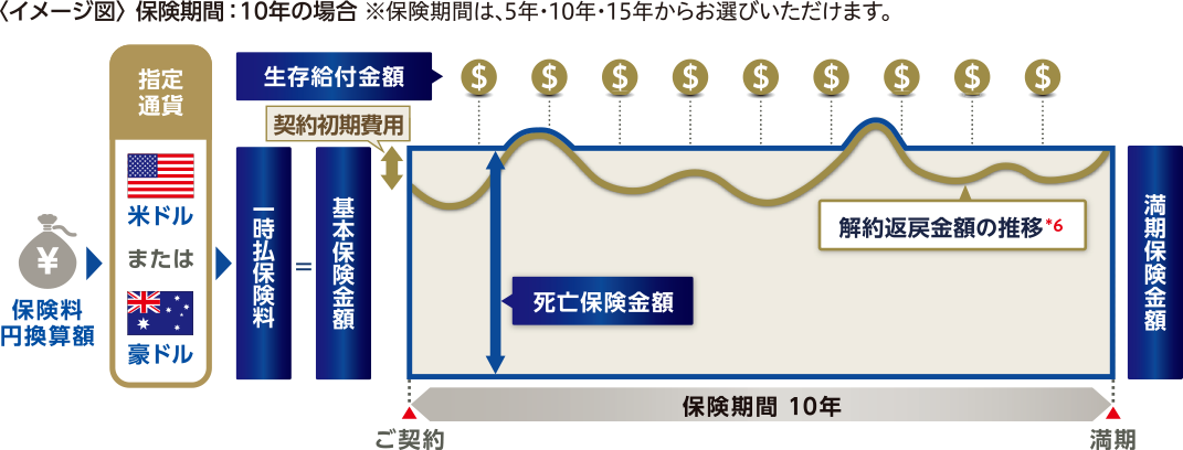 ＜イメージ図＞保険期間：10年の場合 ※保険期間は、5年・10年・15年からお選びいただけます。