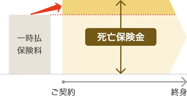 一時払保険料 死亡保険金 ご契約 終身