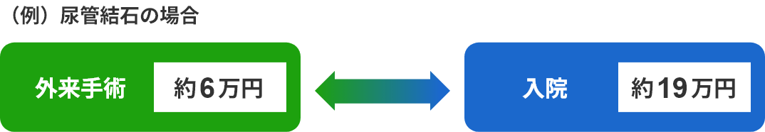 （例）尿管結石の場合