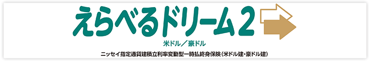 えらべるドリーム２　ニッセイ指定通貨建積立利率変動型一時払終身保険（米ドル建・豪ドル建）