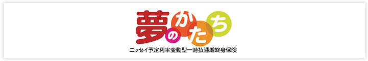 夢のかたち ニッセイ予定利率変動型一時払逓増終身保険