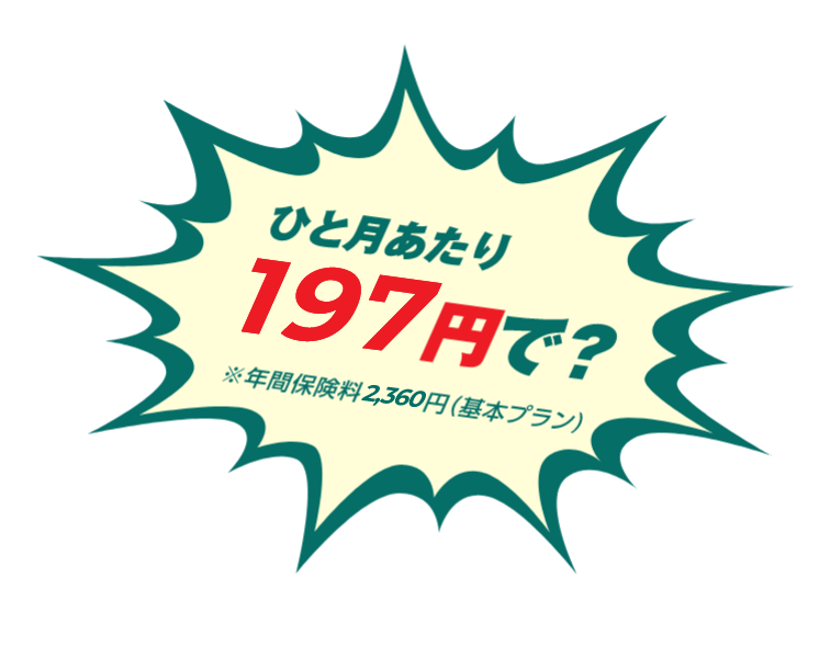 ひと月あたり197円で？