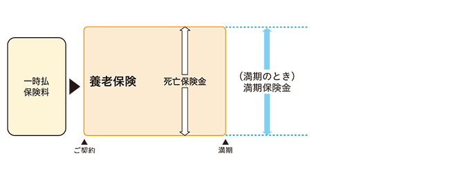 仕組図、ご提案例・保険料例