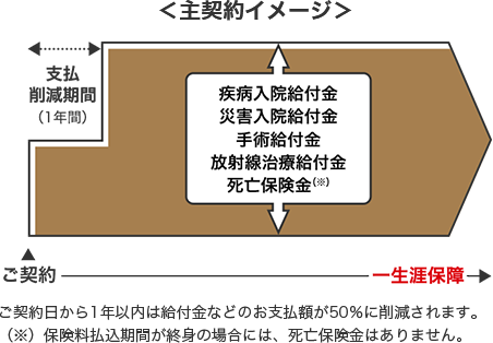 ＜主契約イメージ＞ご契約日から1年以内は給付金などのお支払額が50％に削減されます。（※）保険料払込期間が終身の場合には、死亡保険金はありません。