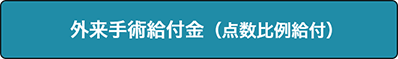 外来手術給付金（点数比例給付）