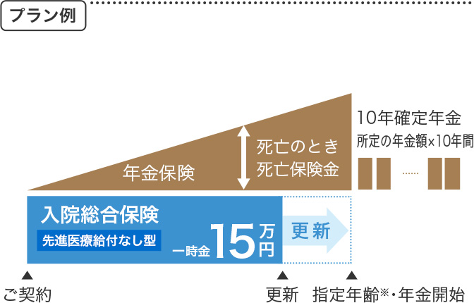 プラン例 年金保険 死亡のとき死亡保険金 10年確定年金 所定の年金額×10年間 入院総合保険 先進医療給付なし型 一時金15万円 更新