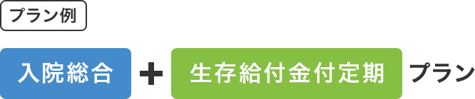 プラン例 入院総合+生存給付金付定期プラン