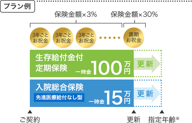 生存給付金付定期保険 一時金100万円 更新 入院総合保険 先進医療給付なし型 一時金15万円 更新