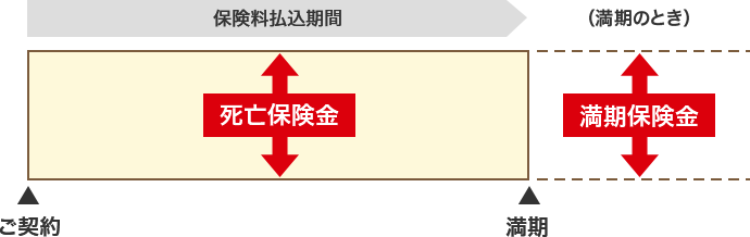 保険料払込期間 死亡保険金 ご契約 満期 （満期のとき）満期保険金