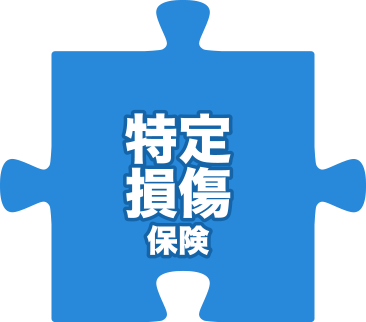 特定損傷保険