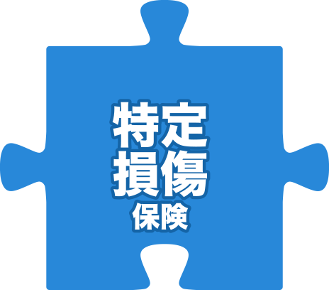 特定損傷保険