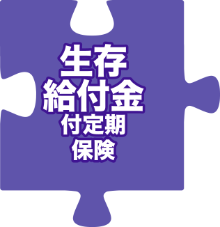 生存給付金付定期保険