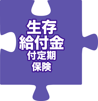 生存給付金付定期保険